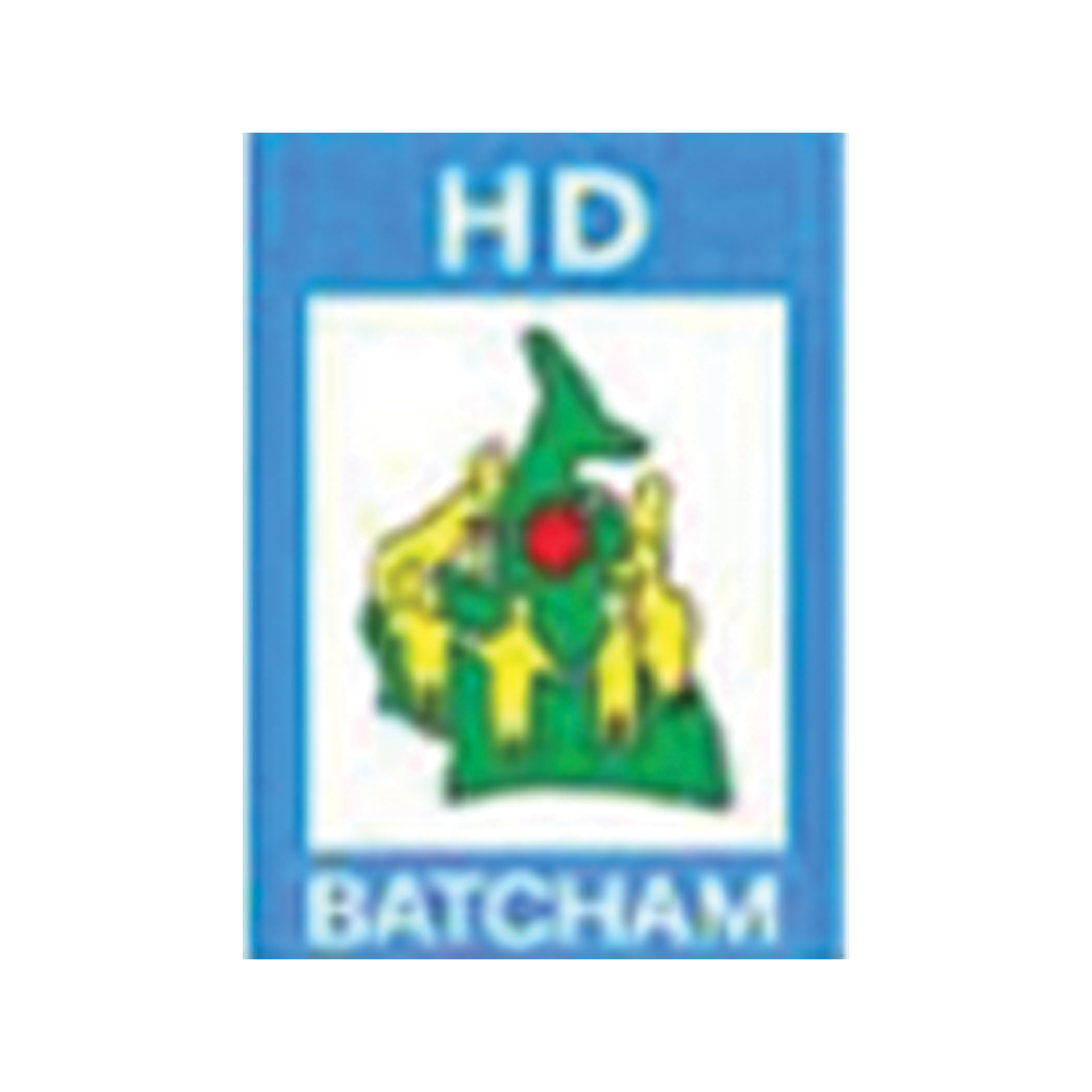 Hôpital de District de Batcham